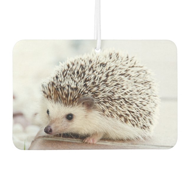 Cute Baby Hedgehog Photo Autolufterfrischer (Vorderseite)