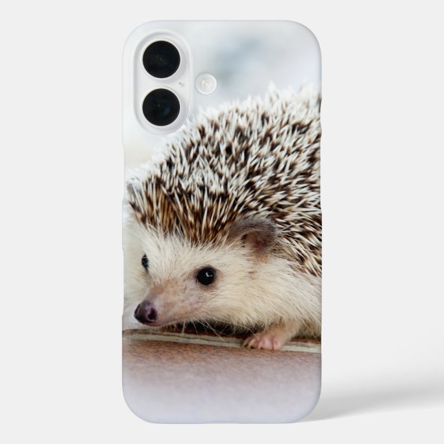 Cute Baby Hedgehog Photo Case-Mate iPhone Hülle (Rückseite)