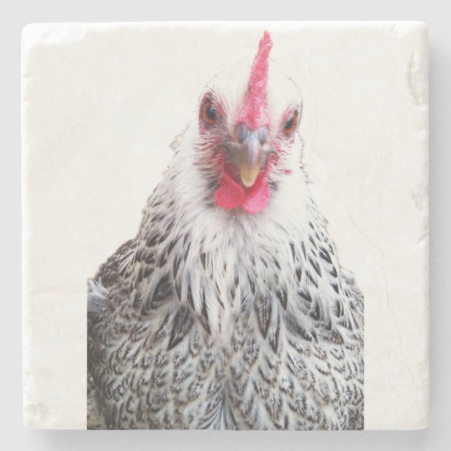 Cute Bantam Cochin Hen Photo Stone Coaster Steinuntersetzer (Vorderseite)