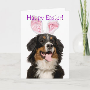 Cute Bernese Mt. Dog Easter Card Feiertagskarte