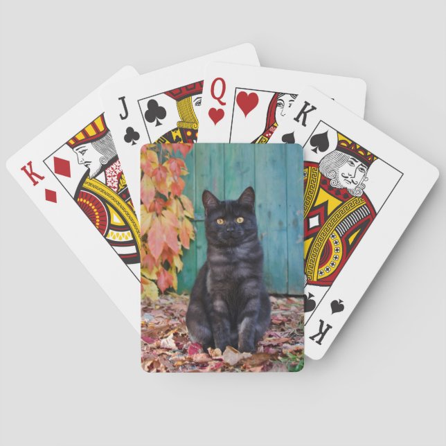 Cute Black Cat Kitten with Red Leaves Blue Door — Spielkarten (Rückseite)