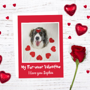 Cute Border Collie dog Valentine's day love hearts Feiertagskarte