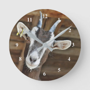 Cute Brown and White Goat Photo Runde Wanduhr