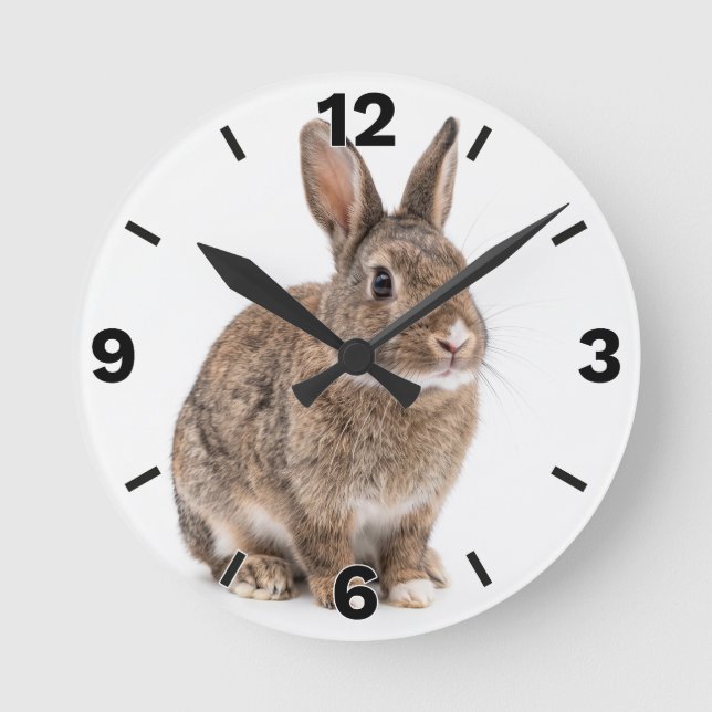 Cute Brown Rabbit Bunny Farm Nursery Decor Runde Wanduhr (Vorderseite)