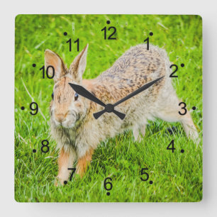 Cute Bunny Rabbit Wild Animals Square Wall Clock Quadratische Wanduhr