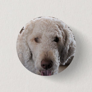 Cute Button
