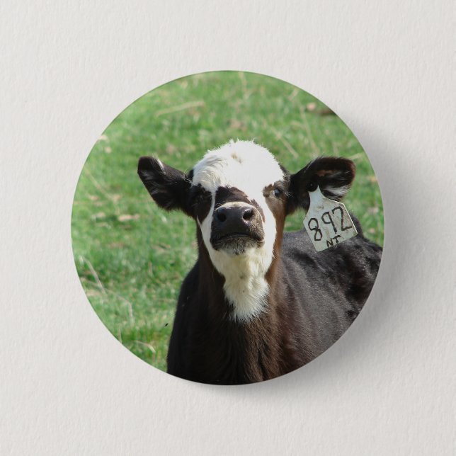 Cute Calf Button (Vorderseite)