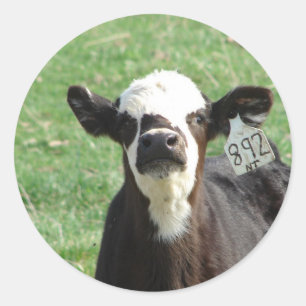 Cute Calf Runder Aufkleber