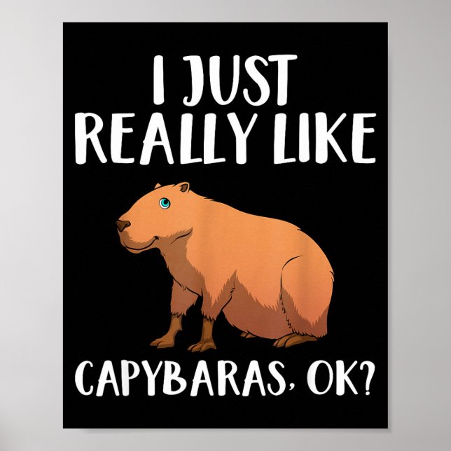Cute Capybara Art For Men Women Kids Animal Rodent Poster (Vorne)
