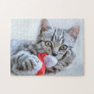 Cute Cat and Santa Claus Hat Puzzle