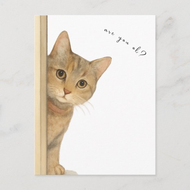 Cute Cat Are You Ok? Card. Postkarte (Vorderseite)