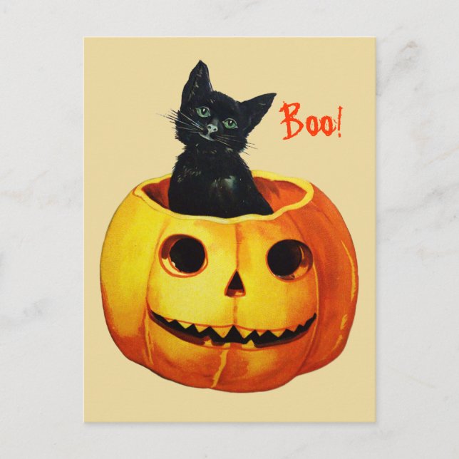 Cute Cat in Pumpkin Vintage Halloween Postcard Postkarte (Vorderseite)