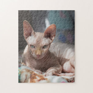 Cute Cat Lounging with No Fur Puzzle