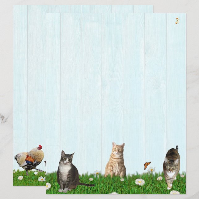 Cute Cat Stationery - Added chickens on Back (Vorne/Hinten)