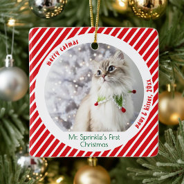 Cute Cats First Christmas Festive Keepsake  Keramikornament