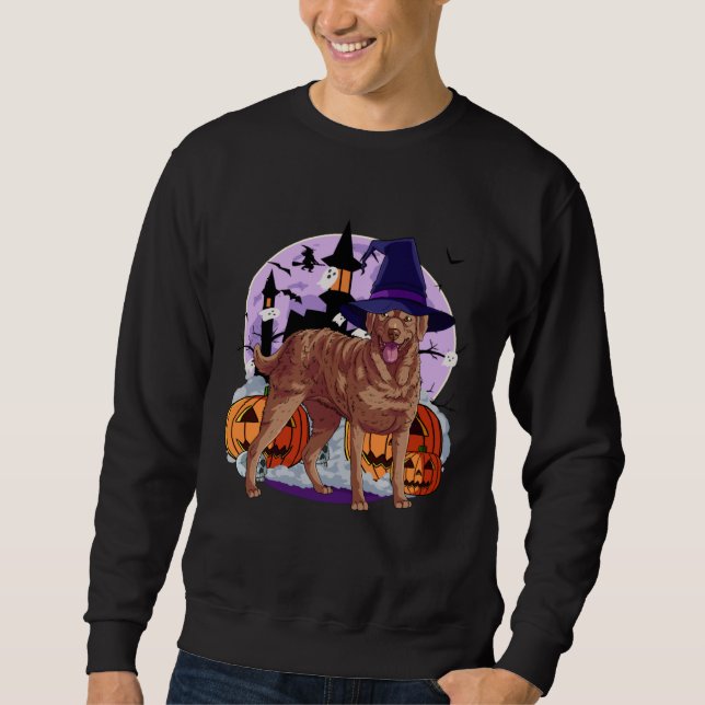 Cute Chesapeake Bay Retriever Halloween Witch Pump Sweatshirt (Vorderseite)