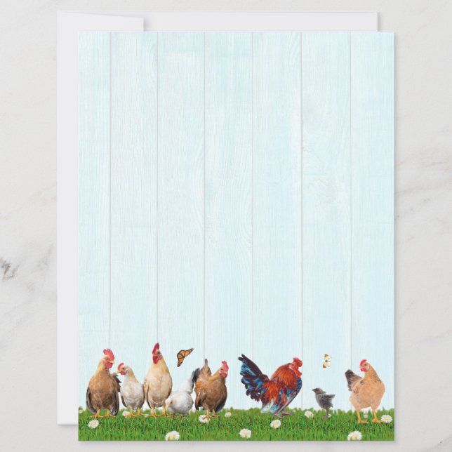 Cute Chicken Stationery - Added Cat on Back (Vorderseite)