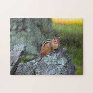 Cute Chipmunk, Shenandoah National Park Puzzle