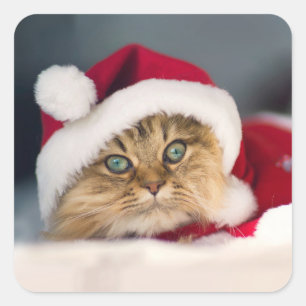 Cute Christmas cat lying Quadratischer Aufkleber