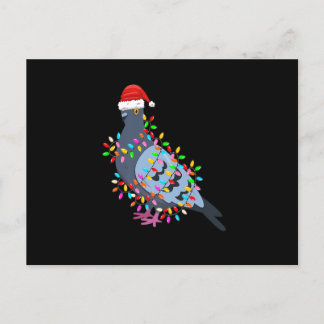 Cute Christmas Lights Pigeon Wearing Xmas Hat - Pi Feiertagspostkarte