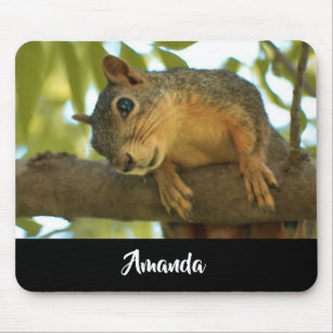Cute & Curious Squirrel Nature Photography Mousepad