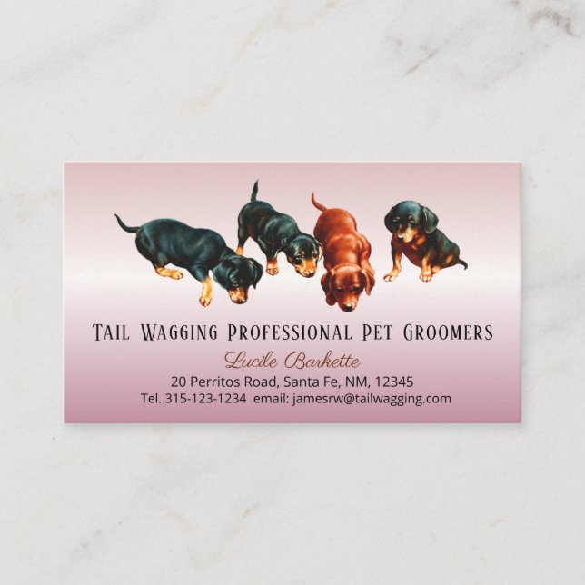 Cute Dachshund Doxie Pups Pet Grooming Rose Gold Visitenkarte (Vorderseite)