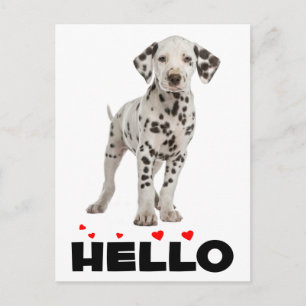 Cute Dalmatian Puppy Dog Hello Thinking of You Postkarte