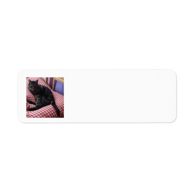 Cute Dave Return Address Labels (Vorne)