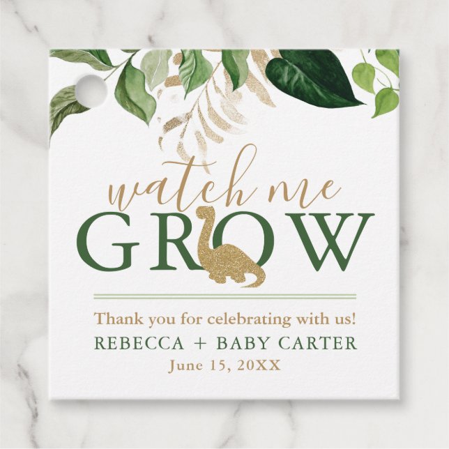 Cute Dinosaur Watch Me Grow Succulent Plant Geschenkanhänger (Vorderseite)