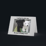 Cute Dog And Bear Birthday Karte<br><div class="desc">Ich bin Dog and Bear in Basketball,  any animal lover would be happy to receive this one!</div>