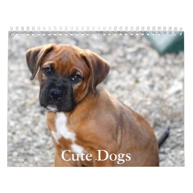 Cute Dog Calendar Kalender (Titelbild)