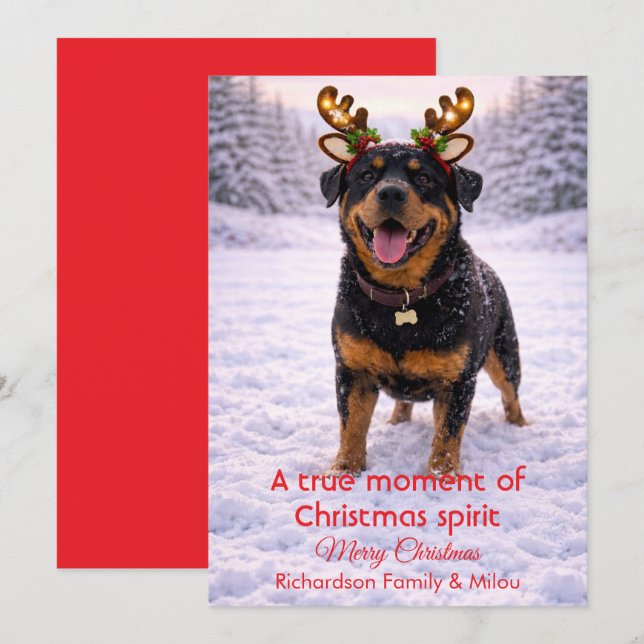 Cute Dog Christmas Sweet Quote | Holiday Card Feiertagskarte (Vorne/Hinten)
