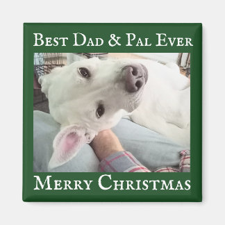 Cute Dog Photo Best Dad Pal Green and White  Magnet