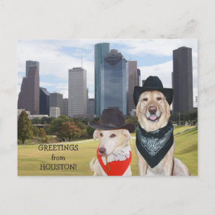 Cute Dogs/Lab Greetings from Houston Postkarte