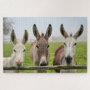Cute Donkeys in Misty Paddock Animals Natur Puzzle