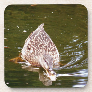 Cute Duck Feeding Untersetzer