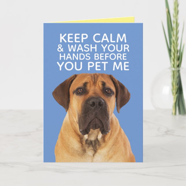 Cute English Mastiff Staying Calm Wash Hands Karte (Vorderseite)