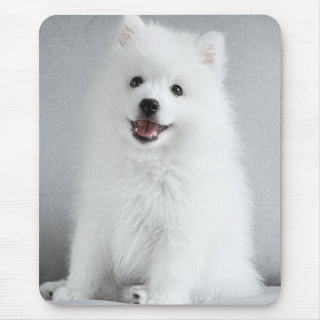 Cute Fluffy Japanese Spitz Puppy Mousepad (Vorne)