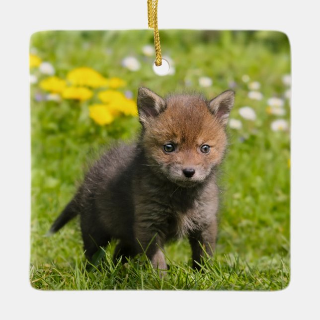 Cute Fluffy Red Fox Cub Wild Baby Photo  porcelain Keramikornament (Vorderseite)