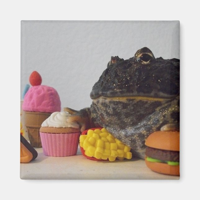 Cute Frog Magnet (Vorne)