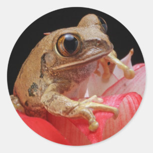 Cute Frog Runder Aufkleber