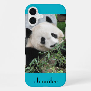 Cute Giant Panda, Blue Background, Name iPhone 16 Plus Hülle