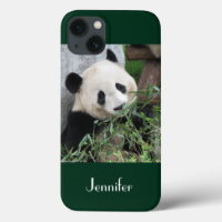 Cute Giant Panda Green Background,