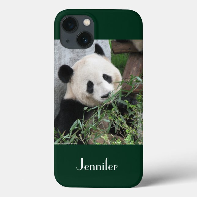 Cute Giant Panda Green Background, Case-Mate iPhone Hülle (Rückseite)