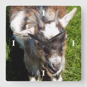 CUTE GOAT QUADRATISCHE WANDUHR