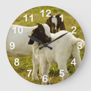 Cute Goats Boer Snuggling Animals Große Wanduhr