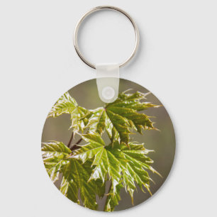 Cute green maple branch with small leaves keychain schlüsselanhänger