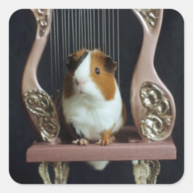 Cute Guinea Pig Harp Sticker (Vorderseite)