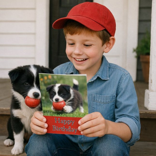 Cute Happy Birthday Border Collie Greeting Card Karte (Joyful birthday moment with a playful pup and a bright, happy card in hand. Template card for kids)