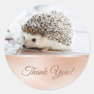 Cute Hedgehog Rose Gold Runder Aufkleber